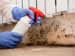 Best Asbestos and Lead Testing During Mold Inspection  in Bloomfield, IA